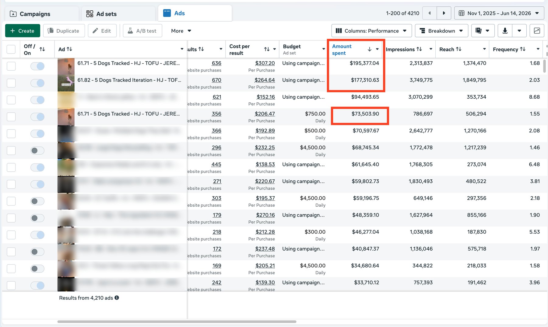 Ads Manager receipt